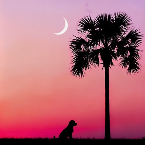 Meet your Posher, Sea Island Glam Consignment - Picture 1 of 1